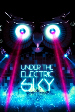 Under the Electric Sky