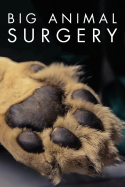 Big Animal Surgery