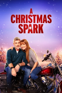 A Christmas Spark