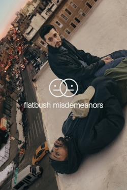 Flatbush Misdemeanors